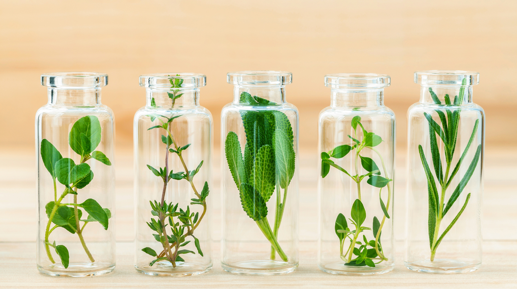 How to use homeopathy? Homeopathy Versus Herbology
